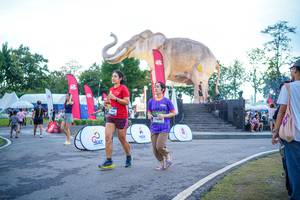 BIB: 
                            <button type="button" onclick="openModal(26551697)" class="btn btn-primary btn-sm float-right btn-popup" data-toggle="modal" data-target=".modal-high-quality">
                        <i class="fas fa-shopping-cart"></i> Add to Cart
                    </button>
                                            <button type="button" onclick="isThisMe(26551697, true)" class="btn btn-success btn-sm float-right btn-popup btn-isme hidden" data-toggle="tooltip" data-placement="bottom" title="นี่คือรูปของคุณใช่ไหม คลิกที่นี่เพื่อเอาเข้าอัลบั้ม">
                        <i class="fas fa-plus"></i> Add to album
                    </button>
                    <button type="button" onclick="isThisMe(26551697, false)" class="btn btn-warning btn-sm float-right btn-popup btn-isnotme hidden">
                        <i class="fas fa-ban"></i> Remove from album
                    </button>